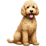 Goldendoodle sticker