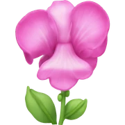sweet pea sticker