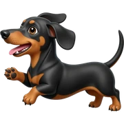 Dachshund Throws a zig sticker