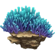 Reef sticker