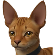 portrait of a cat sticker
