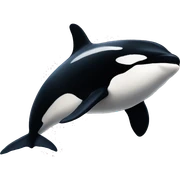 Orca sticker