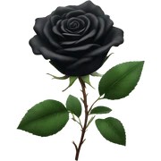 Black rose  sticker