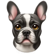Frenchbulldog sticker