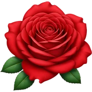 Rose sticker