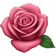 rose MacBook  sticker