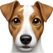 Jack Russell sticker