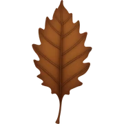 Brown leaf sticker