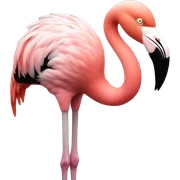 Flamingo sticker