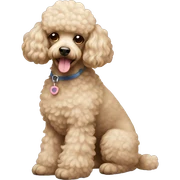 Poodle sticker