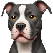 Pitbull  sticker