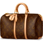 louis vuitton sticker