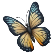 butterfly sticker