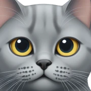 british shorthair cat  sticker