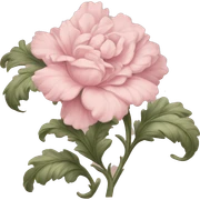 vintage rococo light pink dainty floral painting sticker