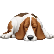 Basset hound sleeping  sticker