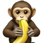 monkey eating a banana  sticker
