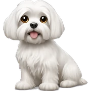 Dog Maltese sticker