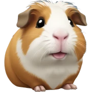 guinea pig sticker