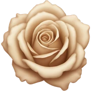 Beige rose  sticker