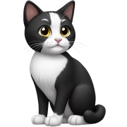 Black and white cat sticker