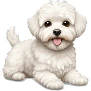Perrito maltipoo  sticker
