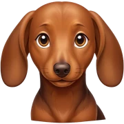 Perro salchicha  sticker
