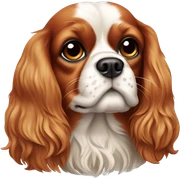 Cavalier dog sticker