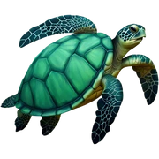 Sea turtle sticker