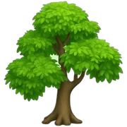 Nature  sticker