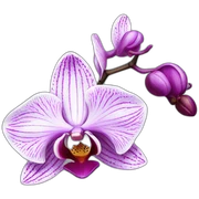 Orchid sticker