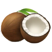 Coconut sticker