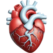 heart medical image sticker
