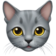 Cutest chartreux cat sticker