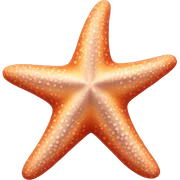 Starfish sticker