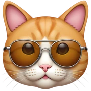 Cat with sunglasses sticker