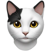 white and black cat sticker