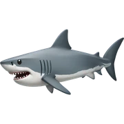 shark sticker
