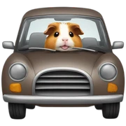 guinea-pig-car sticker