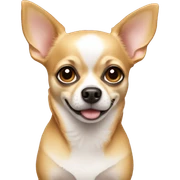 Chihuahua sticker