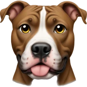 Pitbull sticker