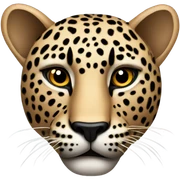Leopard sticker