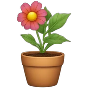A pot, a flower sticker