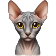 Sphynx cat sticker