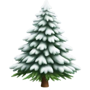  actual white fir christmas tree isolated.  sticker