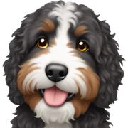 Bernedoodle sticker