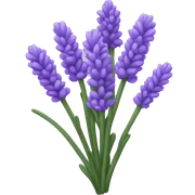 lavender sticker