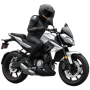 Pulsar ns 200 sticker