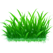 Cute grass sticker