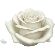 White roses sticker